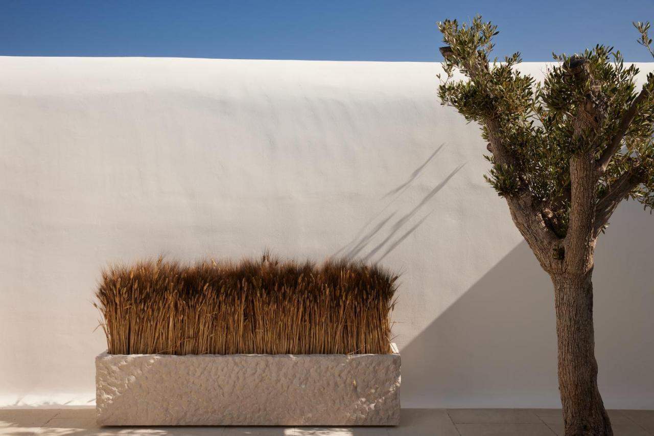 Kalesma Mykonos Hotel Ornos  Exterior foto